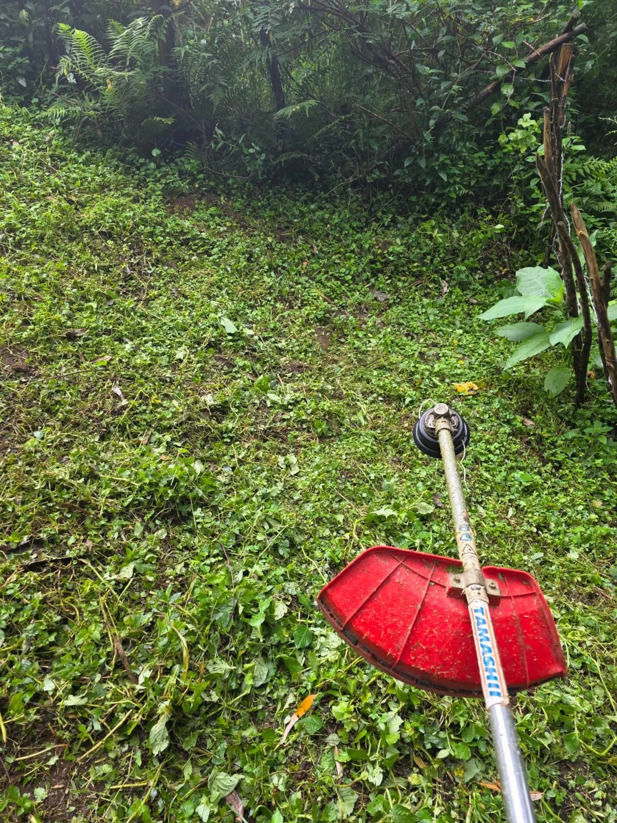 BRUSH CUTTER