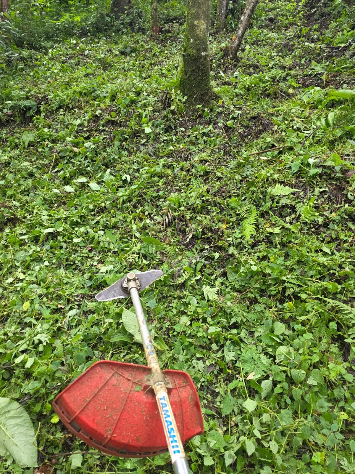 BRUSH CUTTER